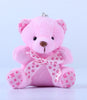 Image of 1PCS Hot 10CM Kawaii Small Teddy Bears Plush Toys Stuffed Animals Fluffy Bear Dolls Soft Kids Toys