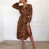 Image of Leopard Dress 2019 Women Chiffon Long Beach Dress Loose Long Sleeve Deep V-neck A-line Sexy Party Dress Vestidos de fiesta