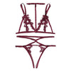 Image of Women Lingerie Corset Lace Underwire Racy Muslin Sleepwear Underwear Tops and Briefs Fashion Sous Vetement Femme Sexy Ensemble