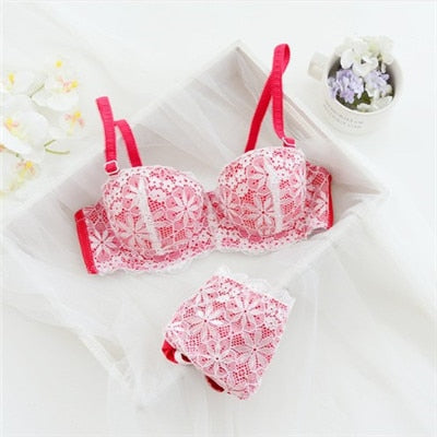 YSANSCA 2017 Hot Sale Luxury 1/2 Cup Brand Sexy Intimates Push Up Bra Set Underwear Floral Embroidery Lace Women Bra Panty